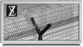 Airport Fence